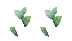 Trisquare